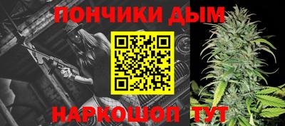мдпв Бийск