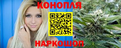 мдпв Бийск