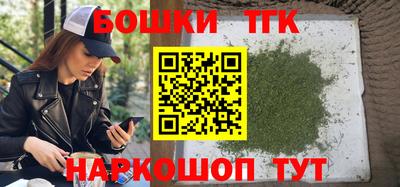 мдпв Бийск