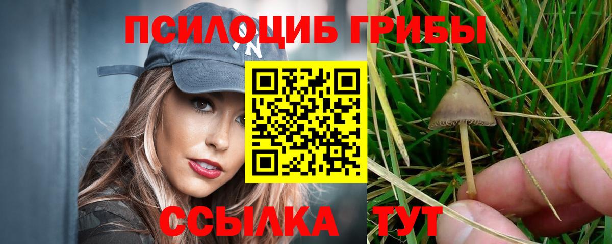 Псилоцибиновые грибы Magic Shrooms Жуковский