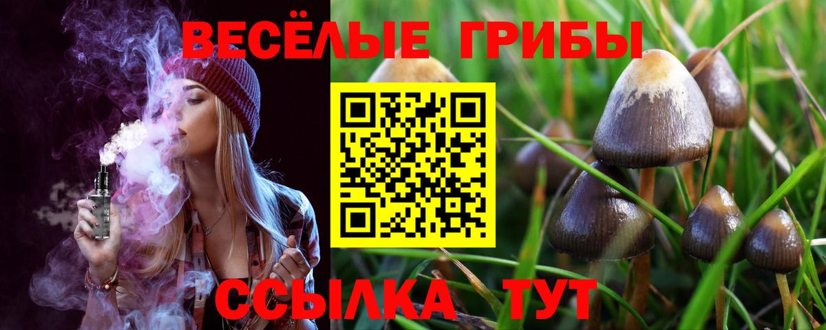 Жуковский  Галлюциногенные грибы Magic Shrooms  Вход с VPN 